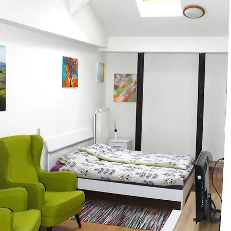Apartmán Priestranny V Centre Mesta Trenčín
